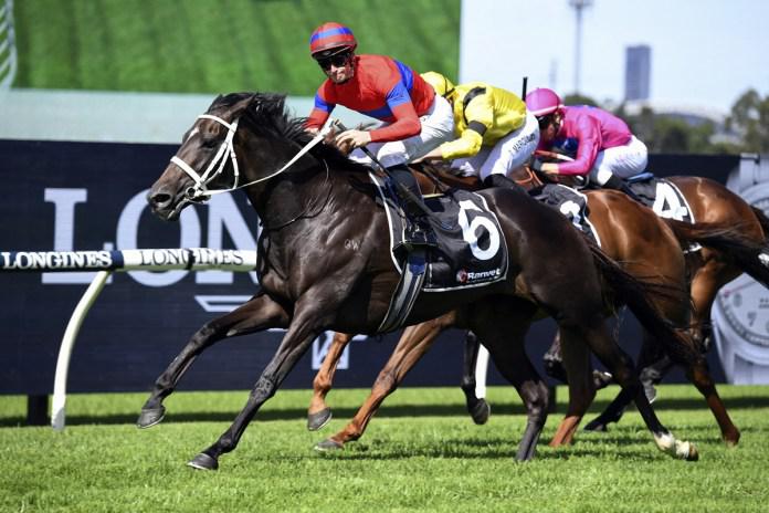 Bishara proud of champion mare despite Randwick defeat