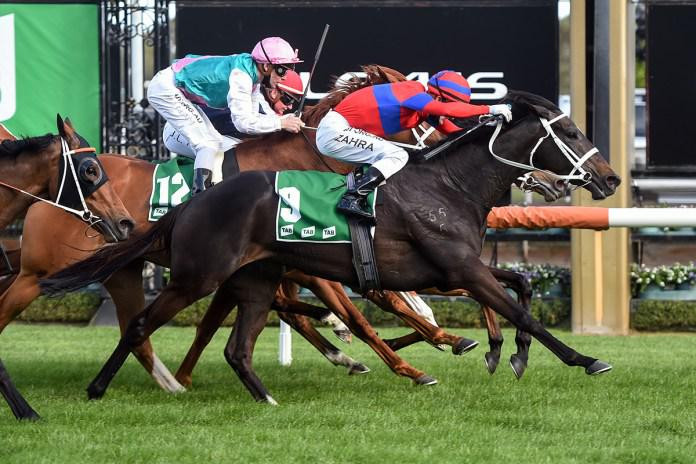 Weight the only concern for Kiwi mare
