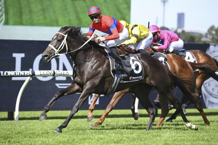 McDonald verry impressed with Kiwi mare