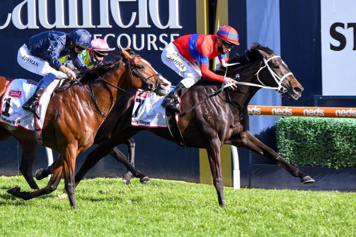 Kiwi mare provides Waller with first Caulfield Cup