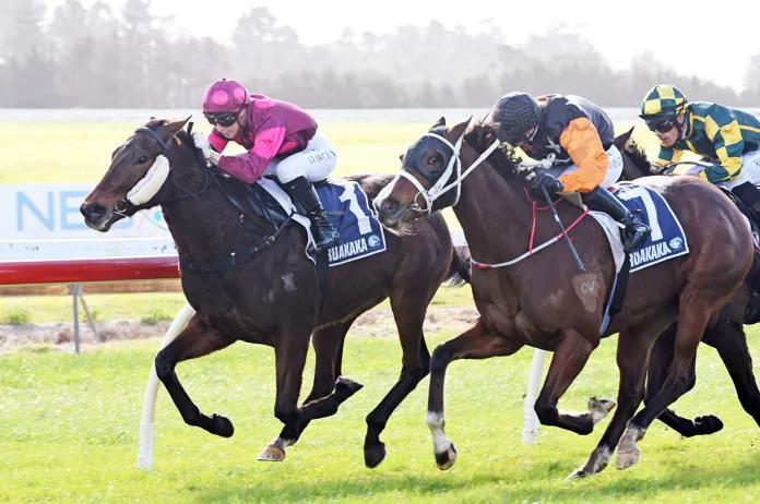 Dancing Dream carrying home hopes for Rae