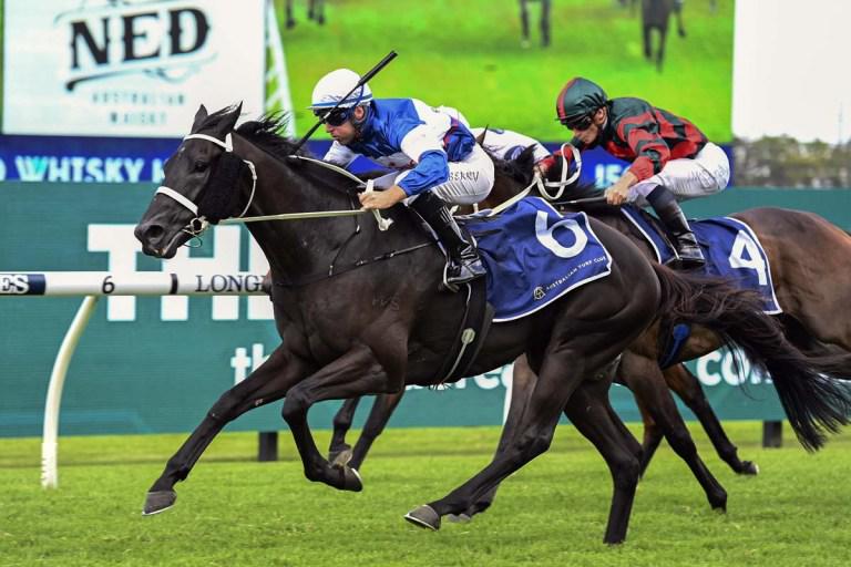 Another Sydney win for Wairere Falls