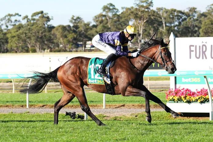War Machine provides tonic for Moroney stable