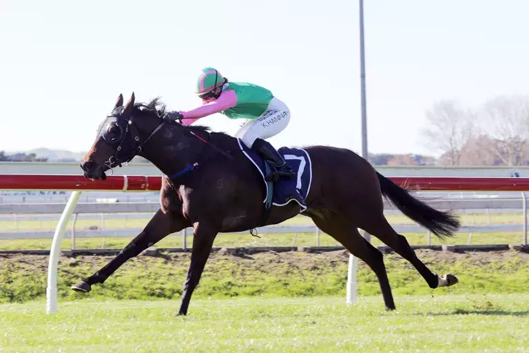 Wessex doubles up at Pukekohe