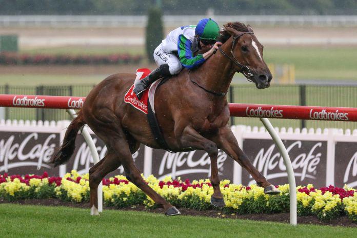 Pins mare stakes bound