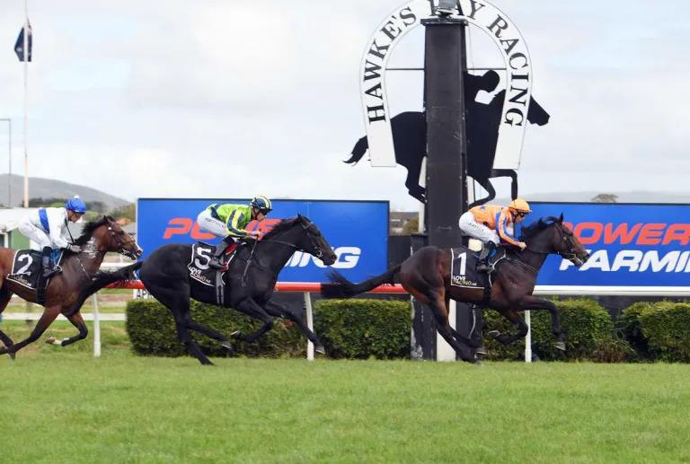 Youngster chasing milestone win for trainer