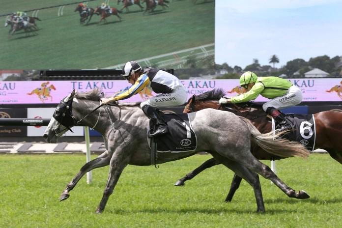 White Noise heads stable's Derby attack