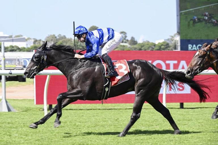 Freedmans Derby hope has Mark of a good horse