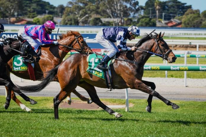 Young Werther set to come of age in Caulfield Cup