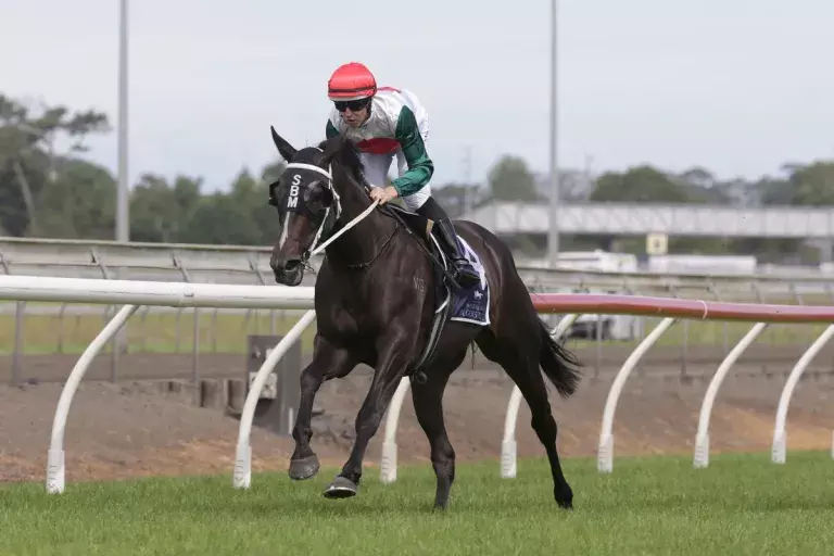 Marsh pondering Group One target for mare