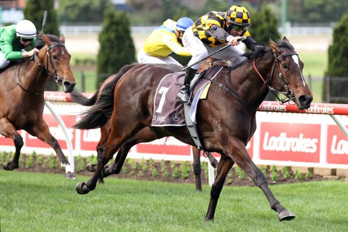 Zouzarella favoured in Guineas warm up