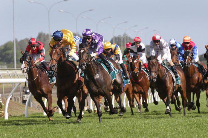 Lucrative bonus on offer for Oamaru Cup-Winter Cup double