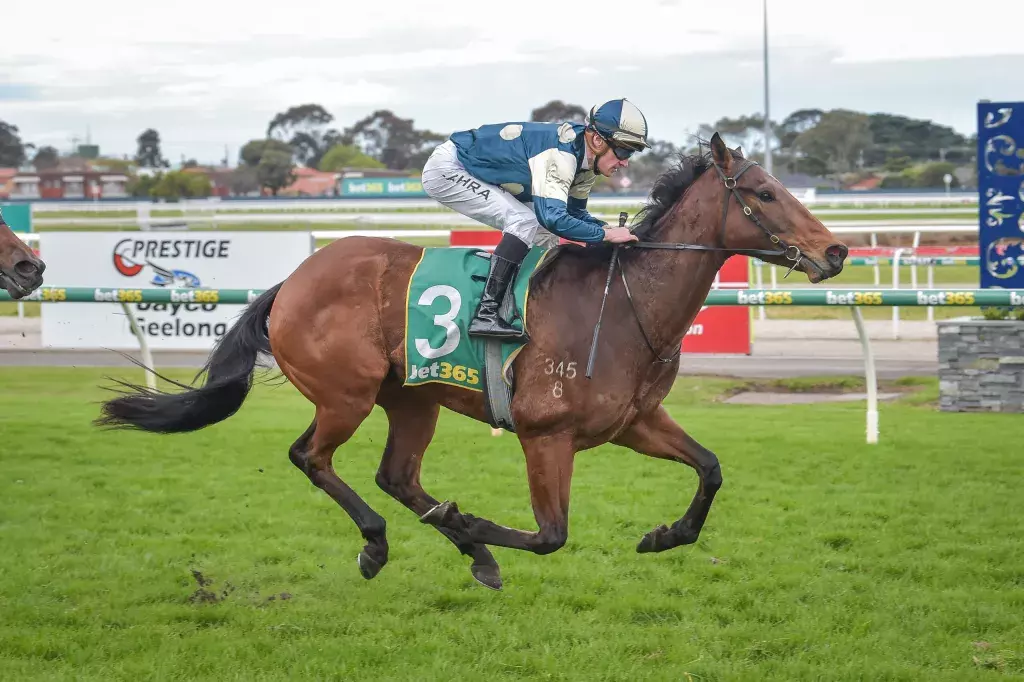 Kiwi-breds to the fore at Geelong