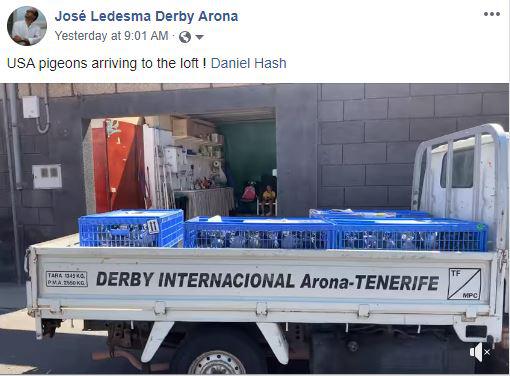 USA BIRDS HAVE ARRIVED TO DERBY ARONA