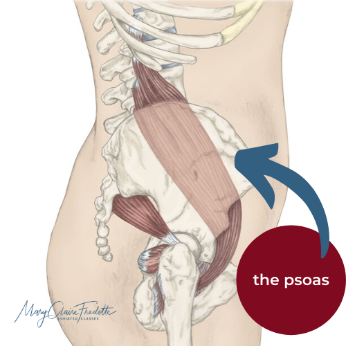 The Psoas