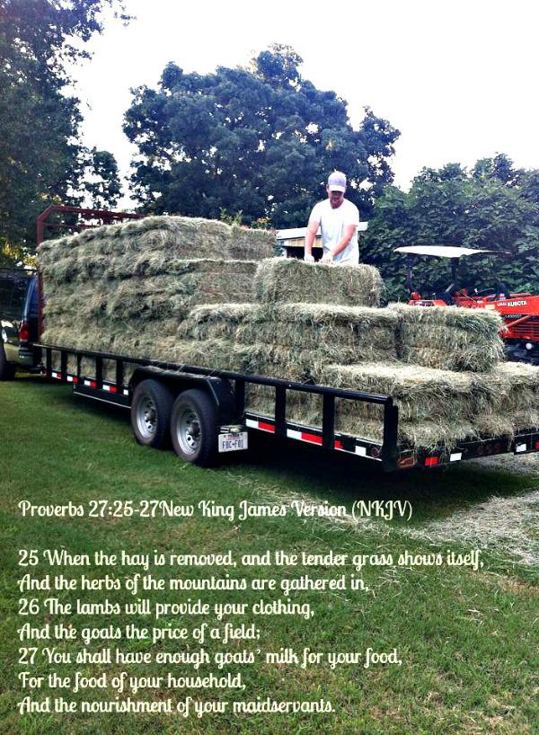 Hay in the Barn - God's Promises