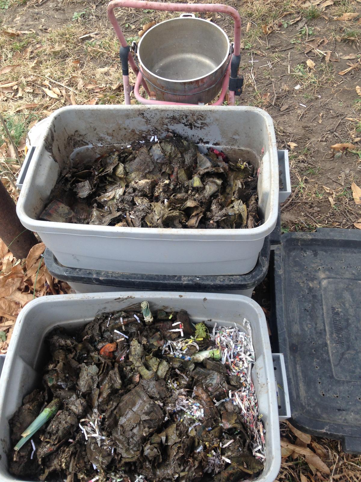 Vermicomposting - Worm Bins for Soil Health