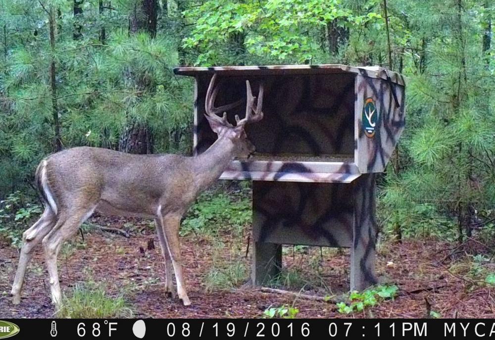 Wilderness Calls Deer Feeders Wild Hog Traps Gravity Deer Feeder