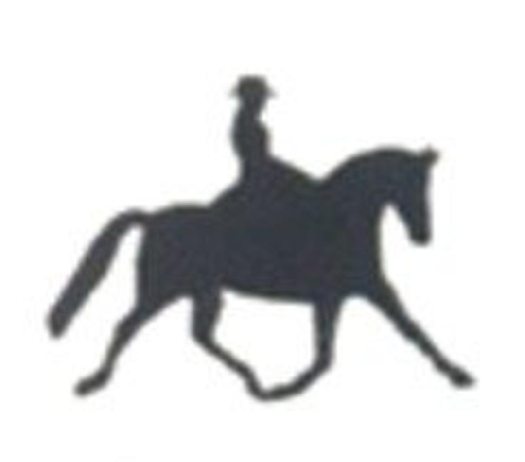 Winner's Circle Horse Supplies, Saddlebred and Gaited Horse