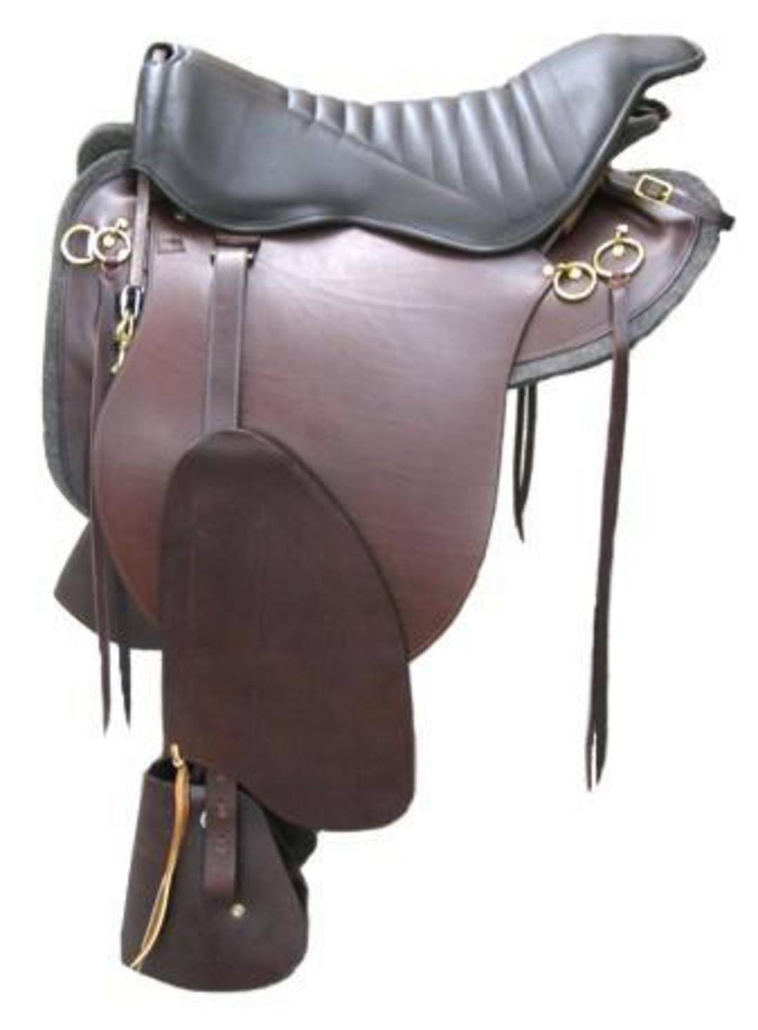 Winner S Circle Horse Supplies Saddlebred And Gaited Horse