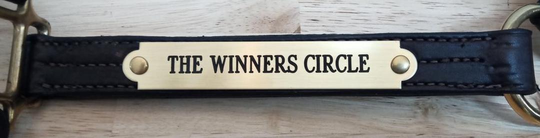 Personalized Horse Halter Name Plate, Brass & Chrome