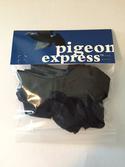 Pigeon Express BackPacks