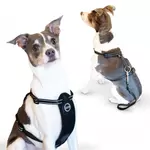 Bergan Pet Products Dog Car Harness