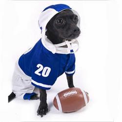 Pampet Blue Football Player Dog Costume