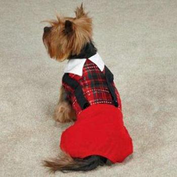 red and black Tartan with suspenders dog Jumper