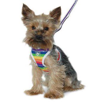  Dogo Easygo Rainbow striped soft all in one step in harness