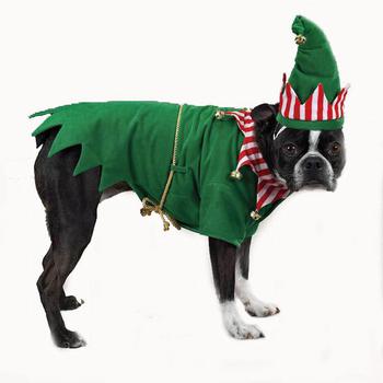 green elf dog costume with hat