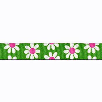 green and pink daisy lead 