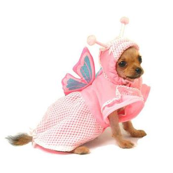 pretty pink butterfly halloween dog costume