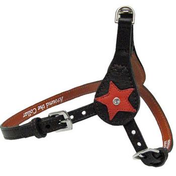 Leather Star Step in Harness