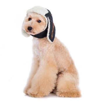 Brown Aviator Dogo Pet Hat