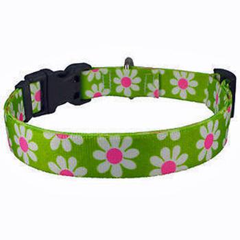 Yellowdog Design green and pink daisy collar