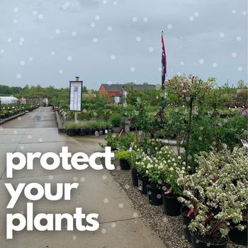 protectyourplants