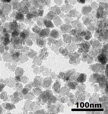 ZrO2 Nanoparticles  |  Zirconium Oxide Nanopowder