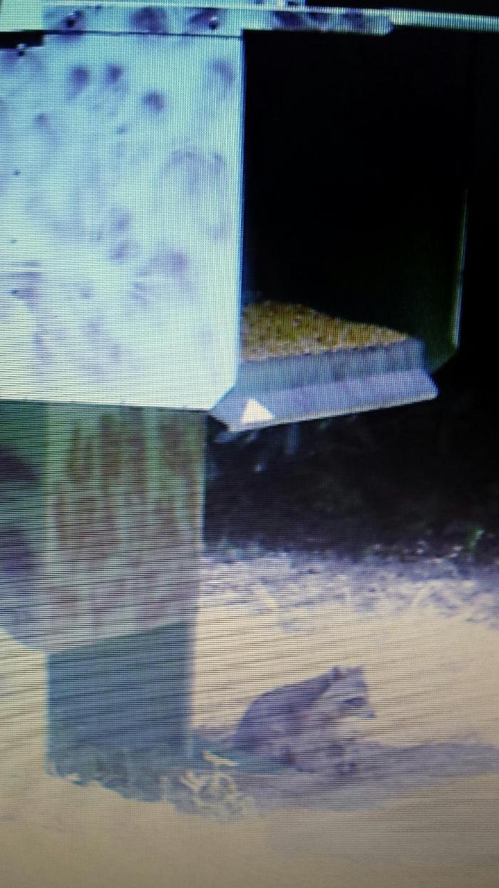 Wilderness Calls Deer Feeders Wild Hog Traps Gravity Deer Feeder